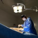 Milton Seigi Hayashi