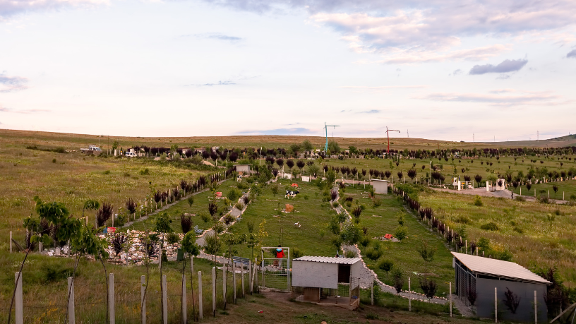 Tiago Schietti explica que planejar antecipadamente reduz impactos emocionais e logísticos no momento da despedida.