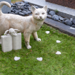 Os planos funerários pet surgem como alternativa de organização e previsibilidade financeira, destaca Tiago Schietti.