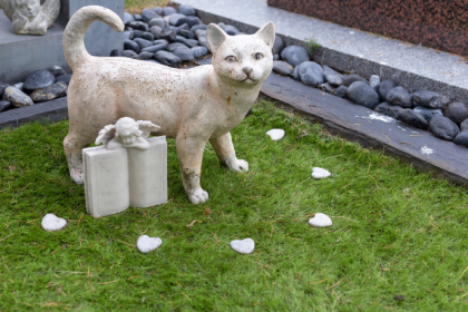 Os planos funerários pet surgem como alternativa de organização e previsibilidade financeira, destaca Tiago Schietti.