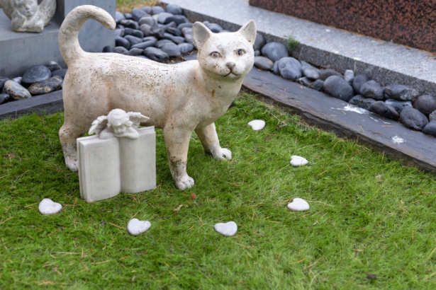 Os planos funerários pet surgem como alternativa de organização e previsibilidade financeira, destaca Tiago Schietti.