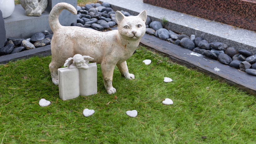 Os planos funerários pet surgem como alternativa de organização e previsibilidade financeira, destaca Tiago Schietti.